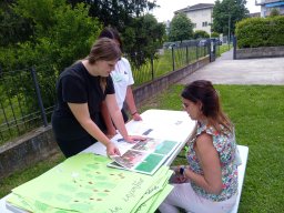 reading the book for the motivation phase
